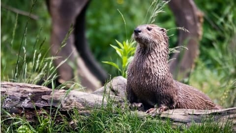 Tips om stress te verminderen